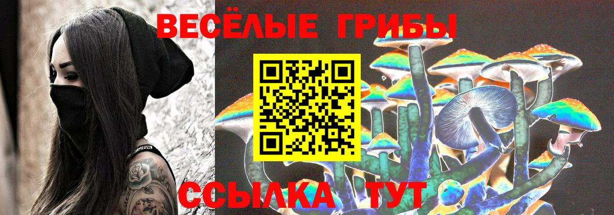 Псилоцибиновые грибы Psilocybine cubensis Богородск